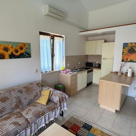 Apartman Lucija Rovinj Zewnętrze zdjęcie